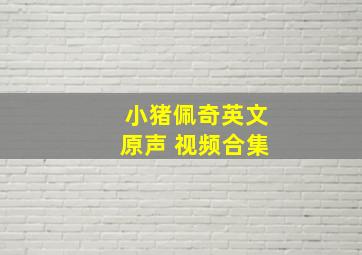 小猪佩奇英文原声 视频合集